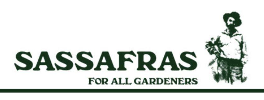 SASSAFRAS - WORDS SOUNDS COLORS & SHAPES