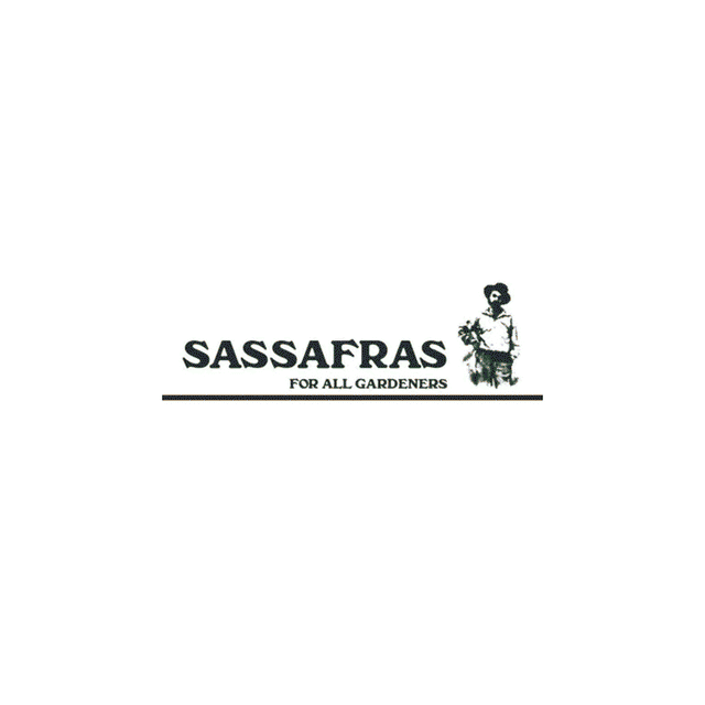 SASSAFRAS