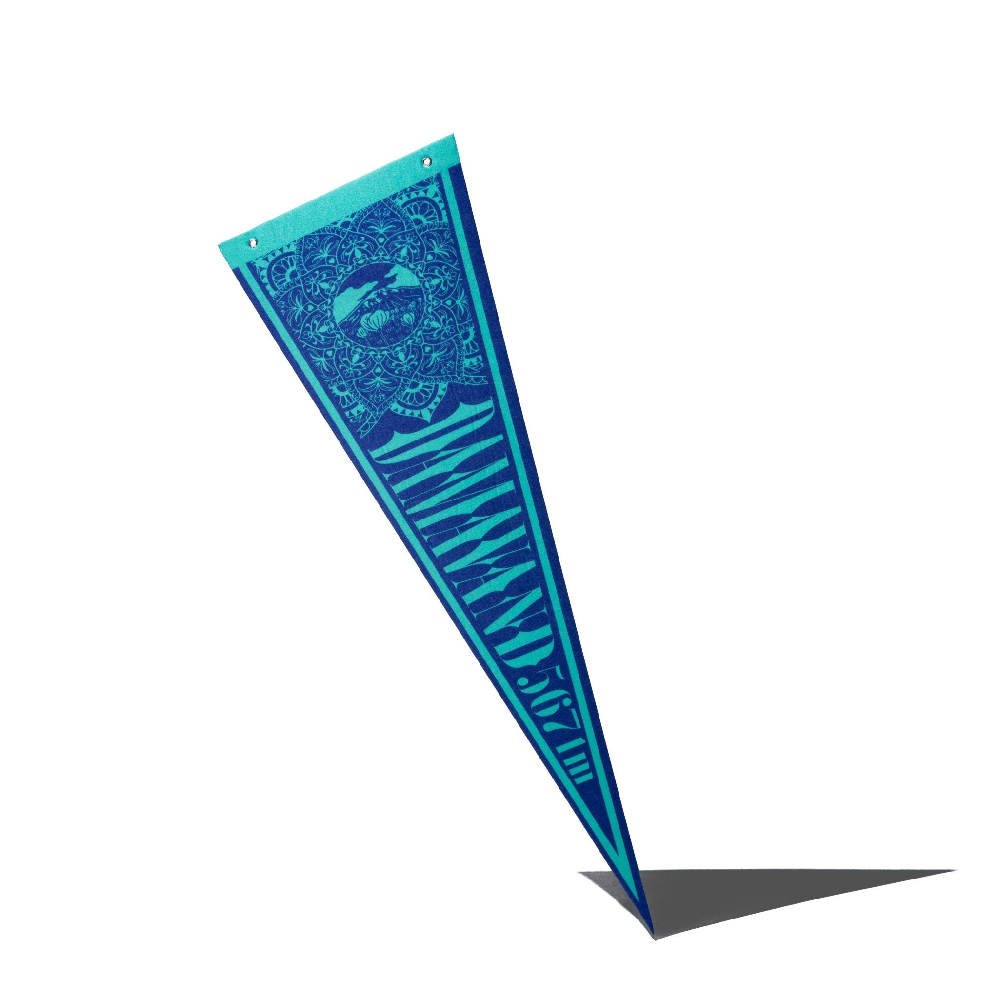 DAMAVAND PENNANT - A YOUNG HIKER