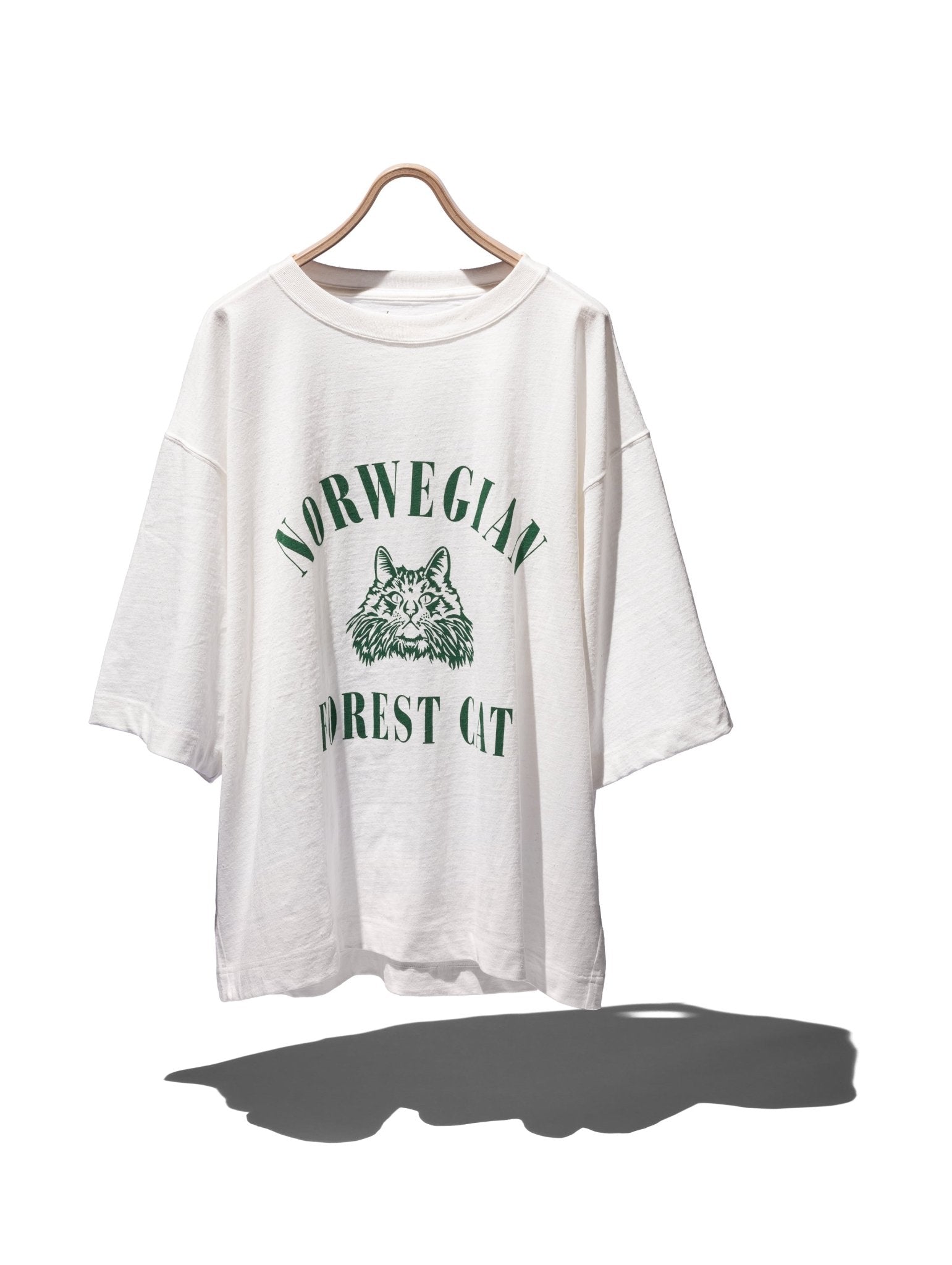 FOREST CAT BIG T - F/CE