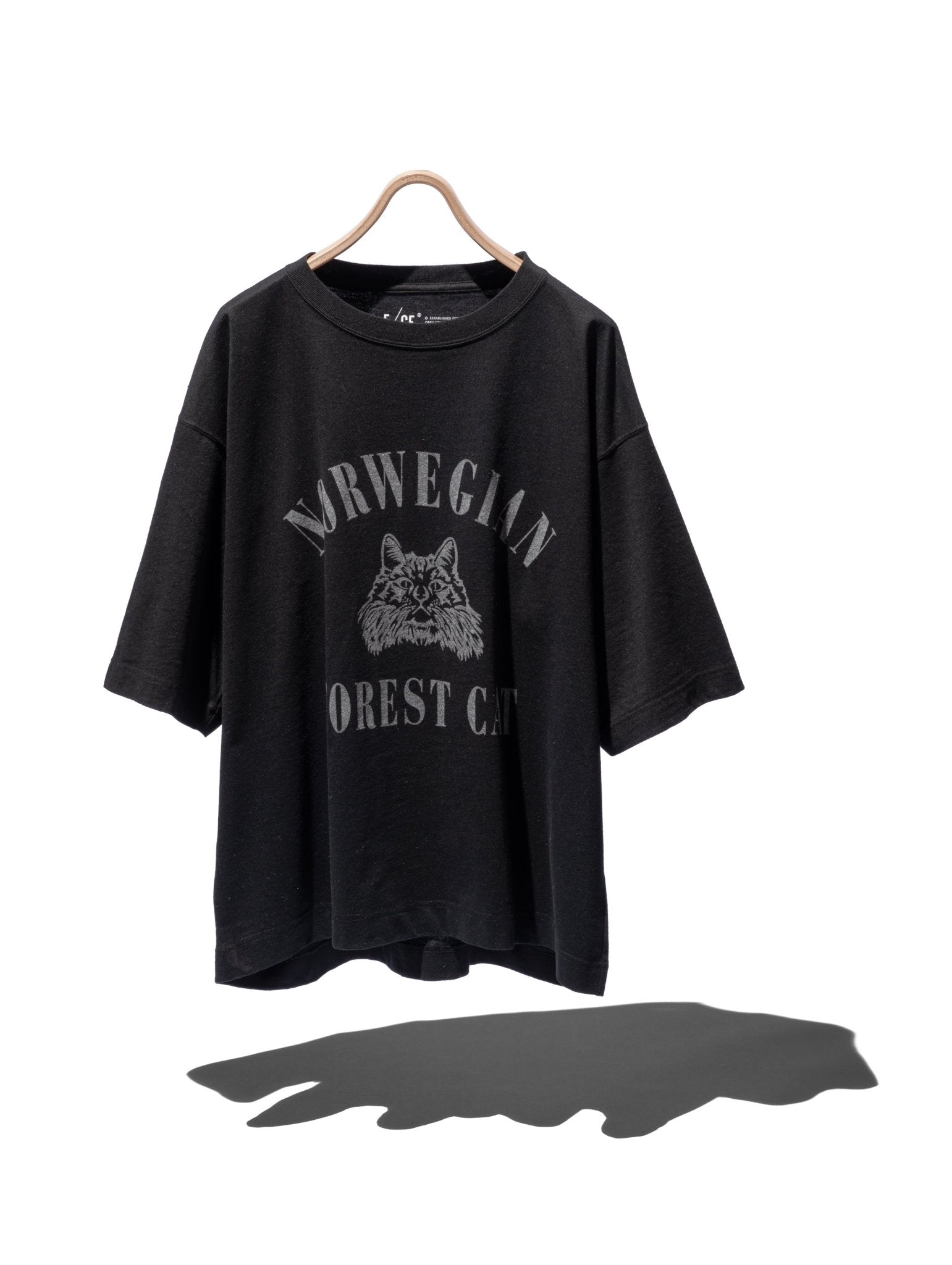 FOREST CAT BIG T - F/CE