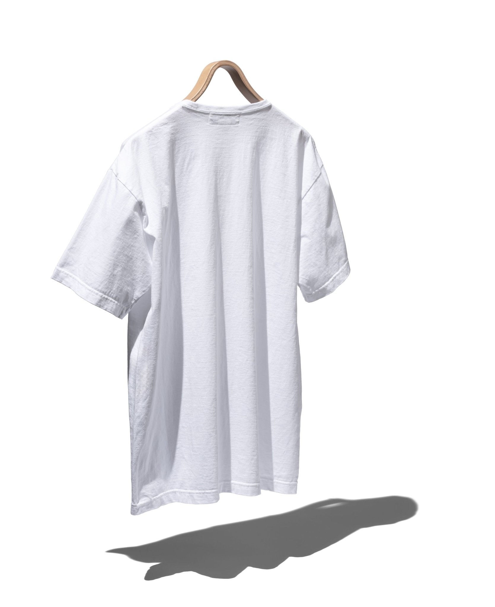 SF LOGO TYPE T 1/2 - SASSAFRAS